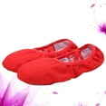 thumbnail image 2 of 1 par de zapatillas de ballet, zapatillas de ballet de suela blanda, zapatillas de práctica de baile de ballet, zapatillas de ballet de yoga para niñas y mujeres, 2 of 4