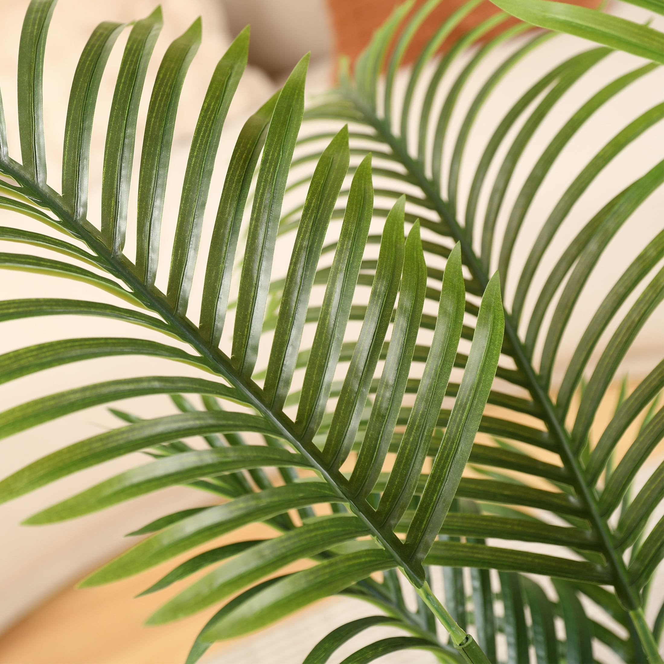 indoor tree plant pot Tall Modern Planter Pot, Tapered Square Design