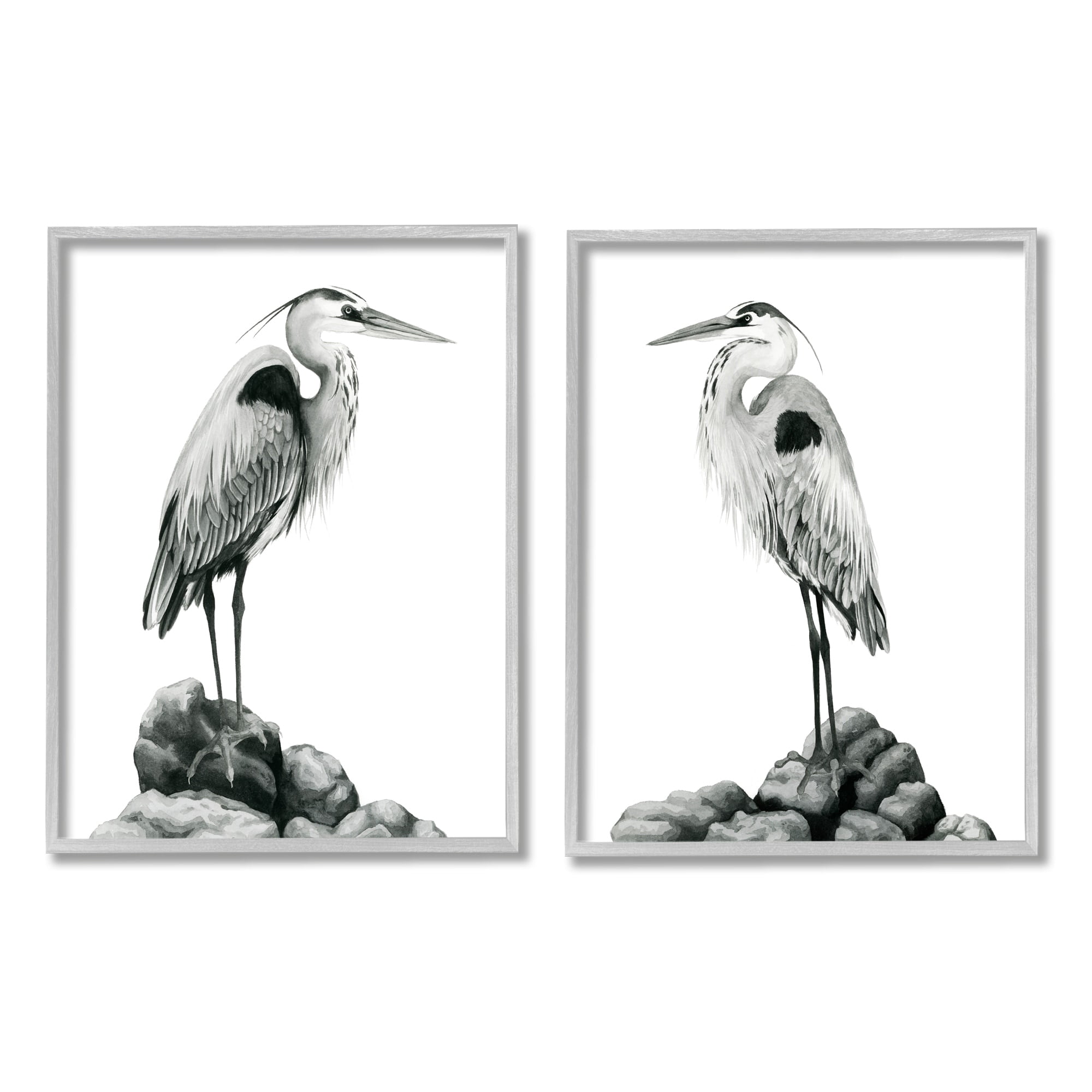 Stupell Industries Great Herons Standing Rocks Black White Bird Portraits, 16 x 20, Design by Grace Popp&nbsp;