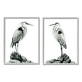 thumbnail image 4 of Stupell Industries Great Herons Standing Rocks Black White Bird Portraits, 11 x 14, Design by Grace Popp&nbsp;, 4 of 5