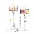 thumbnail image 1 of Selfie Stick Tripod with Wireless Remote, 46'' Cellphone Selfie Stick Tripod with LED Fill Light, for iPhone 16/15/14/14 pro/13/13 Pro/12/11/11 Pro/XS Max/XS/XR/X/8/7 and Android Smartphone(Upgrade), 1 of 5