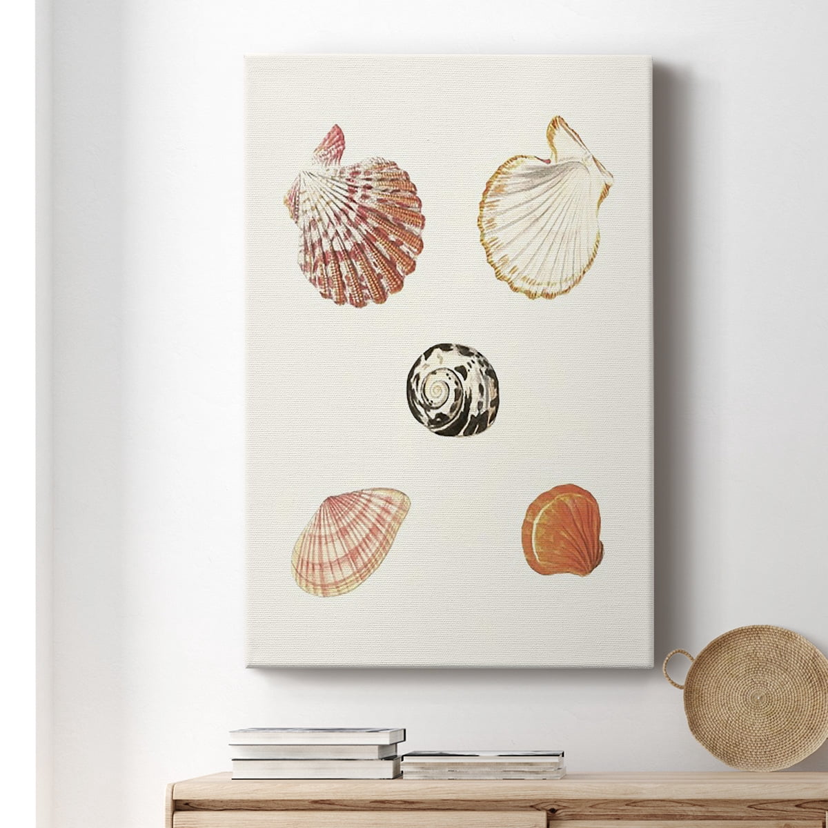Pastel Knorr Shells VIII Premium Gallery Wrapped Canvas - Ready to Hang