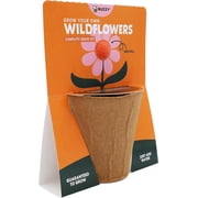 BUZZY Seeds Wildflower Seed Ball Cup 6-Pack – Over 50 Seeds Per Ball, Colorful Decorative Seed Balls in Biodegradable Cups with Growing Medium – Indoor Gardening Gift Set