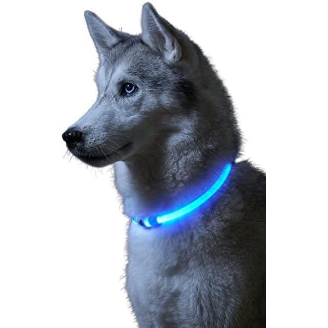 Collar para perros con luz oscura (azul, 70 cm de largo), collar con luz para perros con carga USB, collar LED para perros, collar ajustable con tres modos de iluminación, adecuado para collares básic