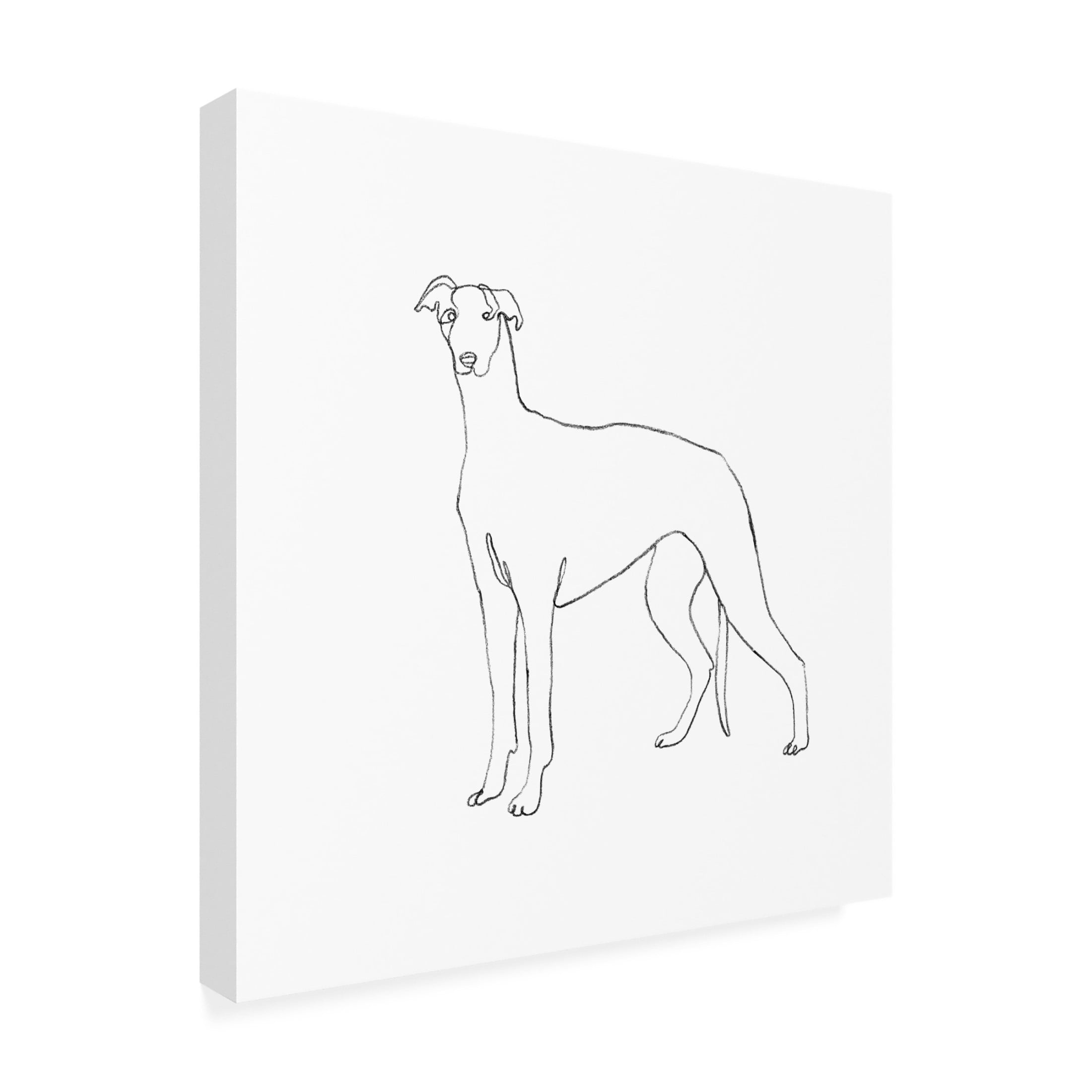 Canvas Wall Art - Emma Scarvey 'Greyhound Pencil Sketch II' Wall Art for Living Room, Bedroom, or Office Décor by Trademark Fine Art - 24 x 24 Inches