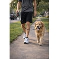 thumbnail image 5 of Men’s Cushioned Low Cut Cotton Socks – Seamless Toe, Padded Sole & Toe, Breathable Daily Comfort - 8 pairs, Black, Shoe Size 10-12, 5 of 7