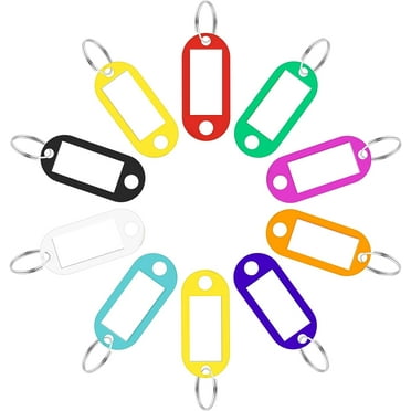 20 Pcs Key Tags with Labels, with Split Rings Label Window Assorted Colors for ID Tags, Pet Name Tags, Luggage Tags(10 Colors)