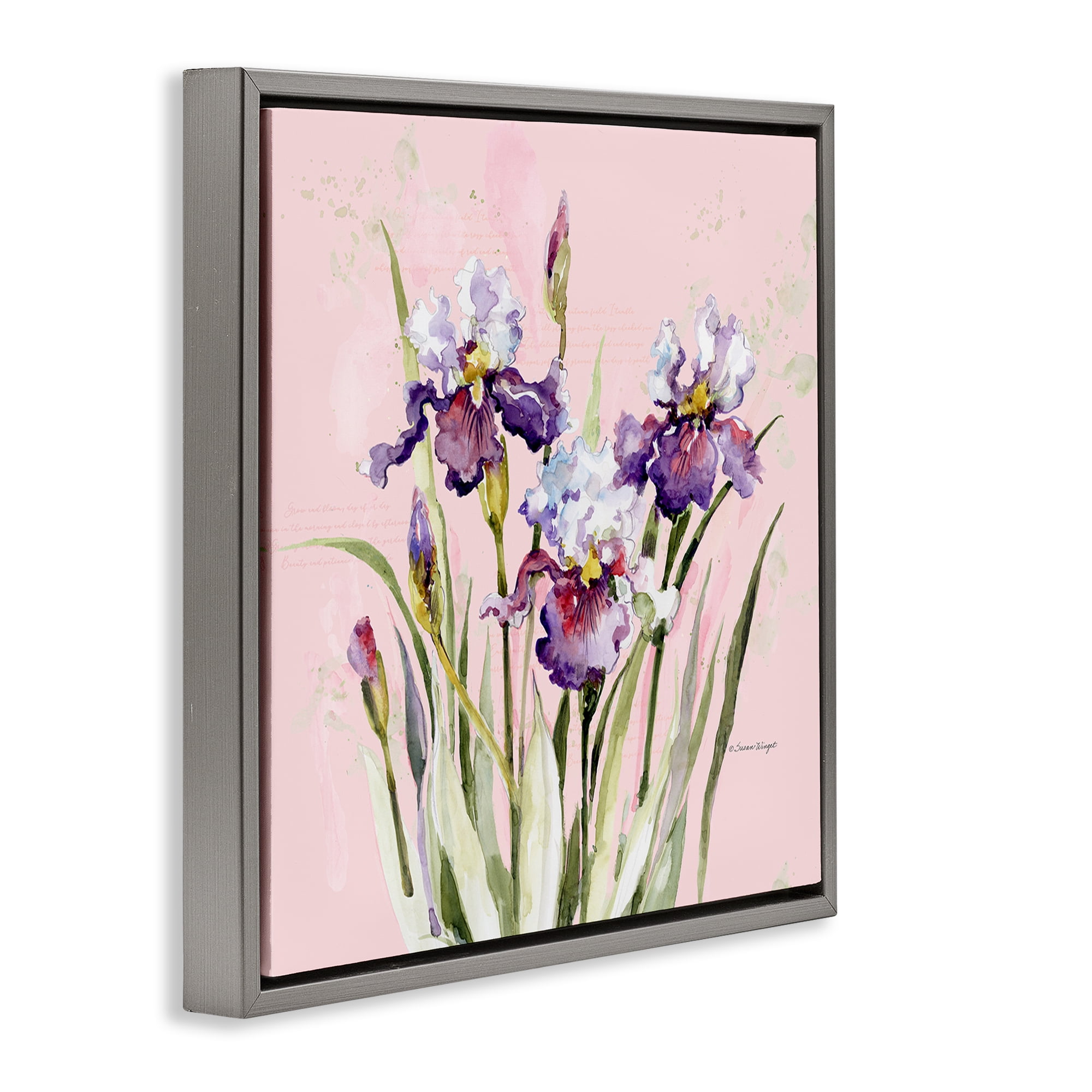 Stupell Industries Purple Irises on Pink Gray Framed Floater Canvas Wall Art, design by Susan Winget