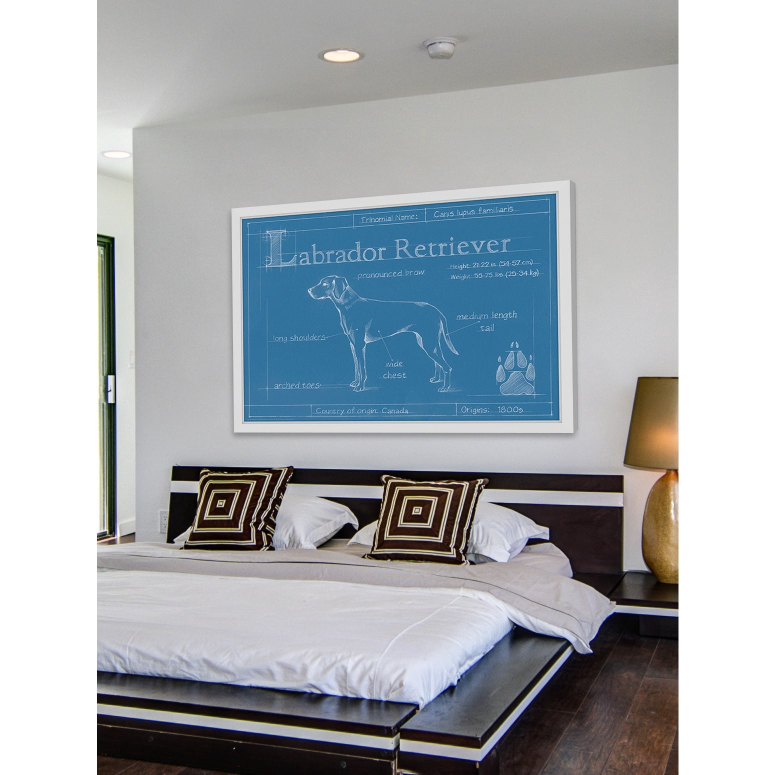 Marmont Hill "Blueprint Labrador Retriever" Framed Painting Print