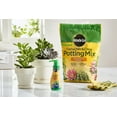 MiracleGro Cactus, Palm & Citrus Potting Mix and MiracleGro Succulent