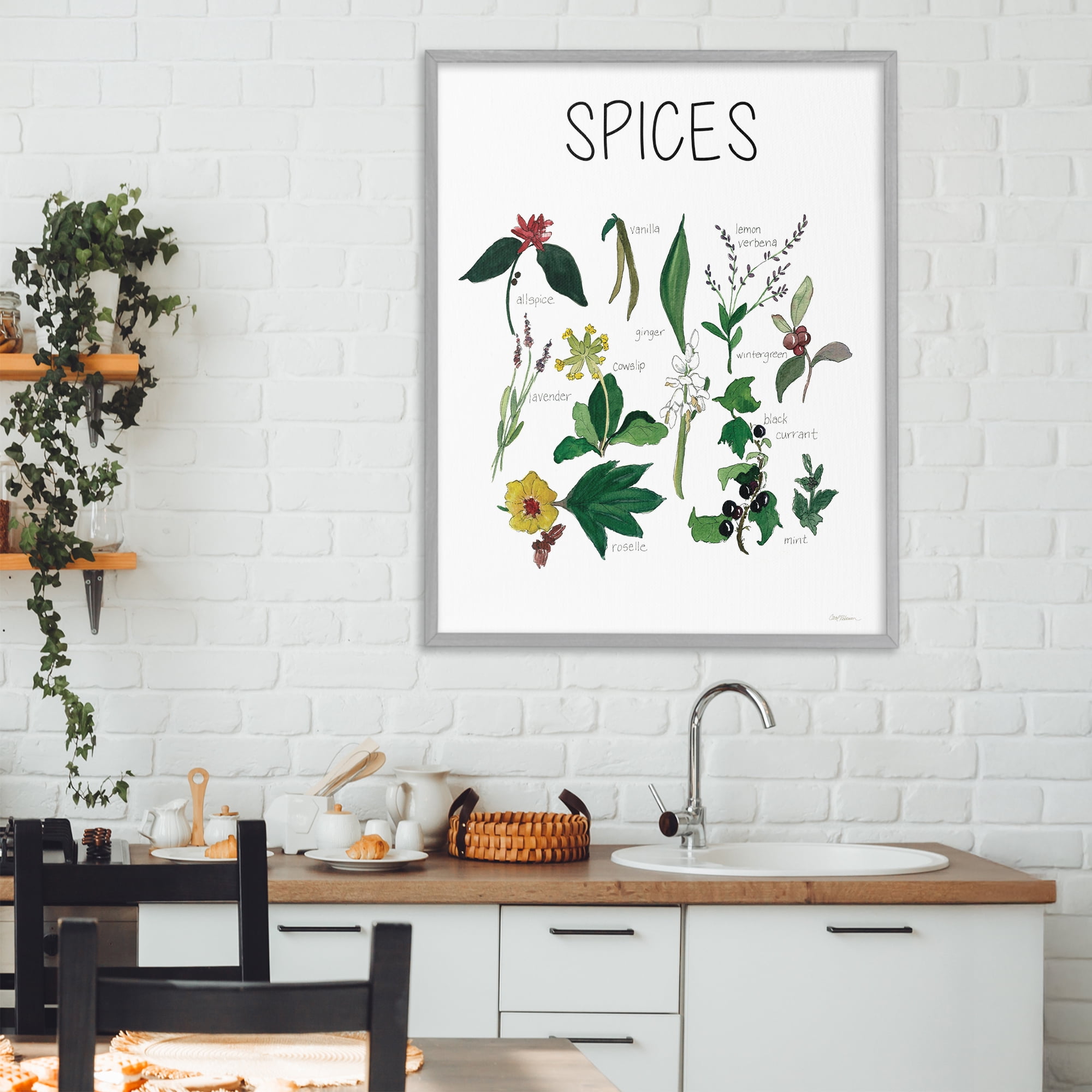 Stupell Industries Spices Identification Chart Gray Framed Giclee Art, design by Carol Robinson