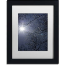 Trademark Fine Art "Springtime Sunshine" Canvas Art by Kurt Shaffer, White Matte, Black Frame