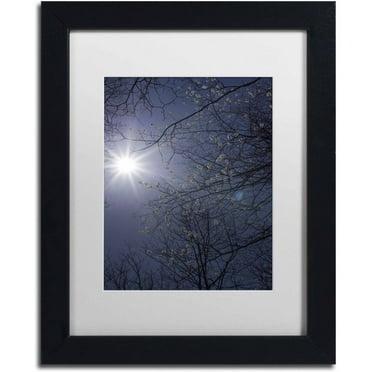 Trademark Fine Art "Springtime Sunshine" Canvas Art by Kurt Shaffer, White Matte, Black Frame