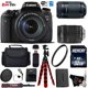 thumbnail image 1 of CÃ¡mara DSLR Canon EOS Rebel T6S con lente STM de 18-135 mm y lente STM de 55-250 mm + trÃ­pode flexible + filtro de protecciÃ³n UV + estuche profesional + lector de tarjetas - Modelo internacional Canon 32GB - Basic Kit - AF7CANT6S55250KB5, 1 of 6