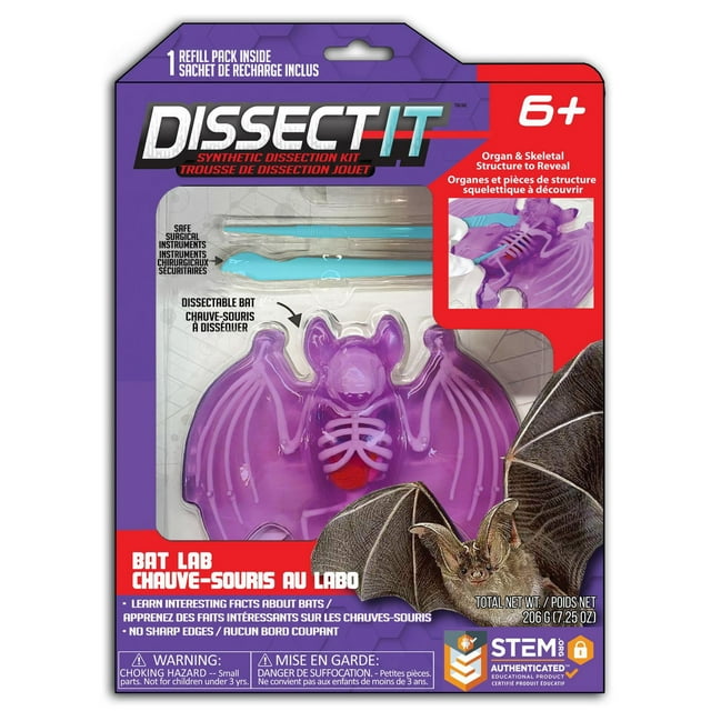 Chauve-souris au labo Dissect-It