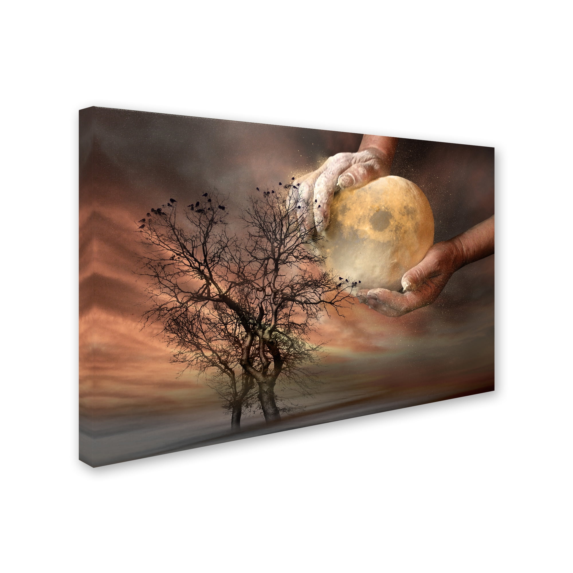 Trademark Fine Art 'Dough' Canvas Art by Elisaveta Jordanova