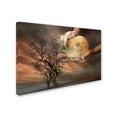 thumbnail image 2 of Trademark Fine Art 'Dough' Canvas Art by Elisaveta Jordanova, 2 of 3