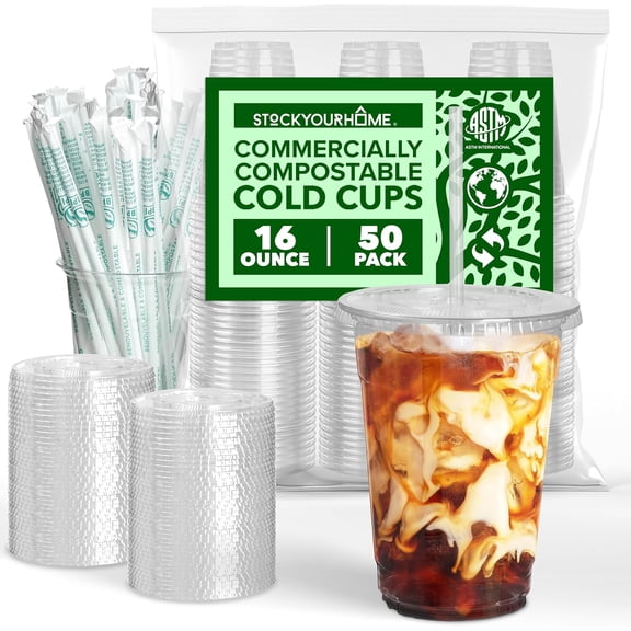 Stock Your Home 16 oz Clear PLA Cold Cups 50 Pack Disposable Party Cups for Water Iced Coffee Soda Beer Wine Sample Cups