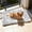 A, variant on Soft Orthopedic Pet Bed for Indoor Outdoor Comfort with Removable Washable Cover and Foam Support for Joint Health and Calming Experience