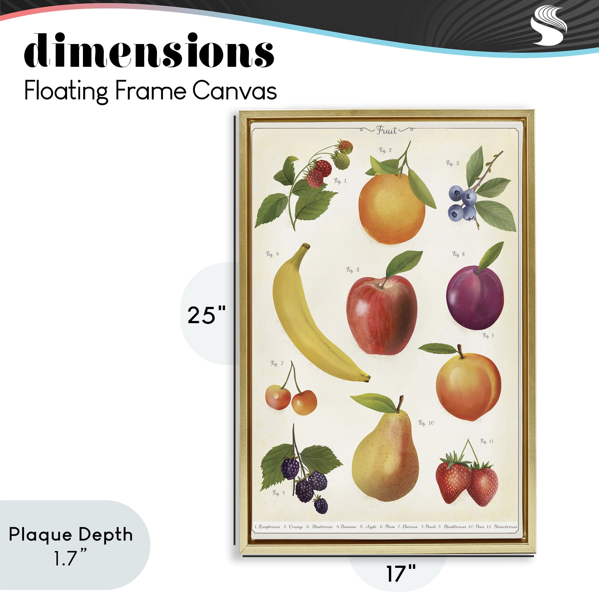 Stupell Industries Fruit Collection Studies Gold Framed Floater Canvas Wall Art, design by Diane Neukirch