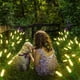 thumbnail image 4 of Maceta de interior única suculenta pequeña maceta Animal decoración del jardín del hogar, 4 of 7