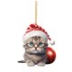 thumbnail image 1 of Adorno Navideño De Acrílico 2D Con Gato Divertido Adorno De Acrílico Con Gato Adorno Navideño De Acrílico Con Doble Impresión Colgante Navideño Divertido Regalo De Navidad Colgante Divertido 1 Unidad, 1 of 5
