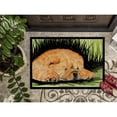 thumbnail image 3 of Carolines Treasures SS8525JMAT Chow Chow Doormat 24x36 36"L x 24"W multicolor, 3 of 4