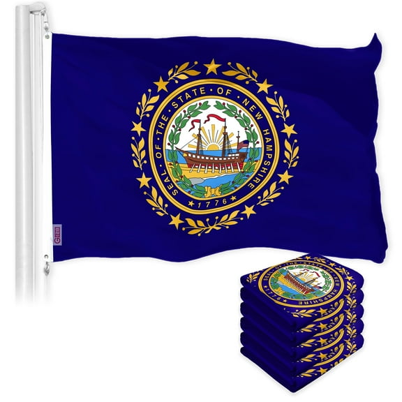G128 5 Pack: New Hampshire NH State Flag | 3x5 Ft | LiteWeave Pro Series Printed 150D Polyester | Indoor/Outdoor, Vibrant Colors, Brass Grommets, Thicker and More Durable Than 100D 75D Polyester