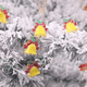 thumbnail image 2 of Cadena de luces LED navideñas con atmósfera de alce, anciano, muñeco de nieve, campana, árbol de Navidad, muleta, caja de regalo, calcetines, cadena de luces de alambre de cobre, 2 of 6