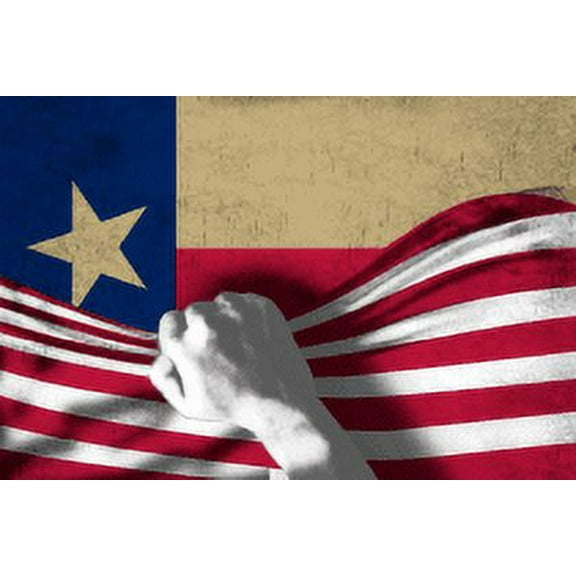 USA Texas Reveal 3'X5' Flag ROUGH TEX® 100D