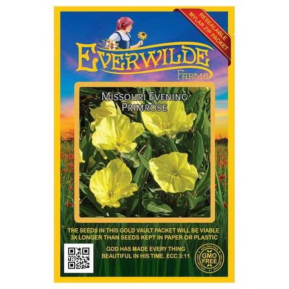 Everwilde Farms 400 Missouri Evening Primrose Flower Seeds, Native Wildflower