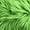 Lime, variant on FabricLA 30" Round Shaggy Faux Fur Sewing & Craft Fabric, Lime