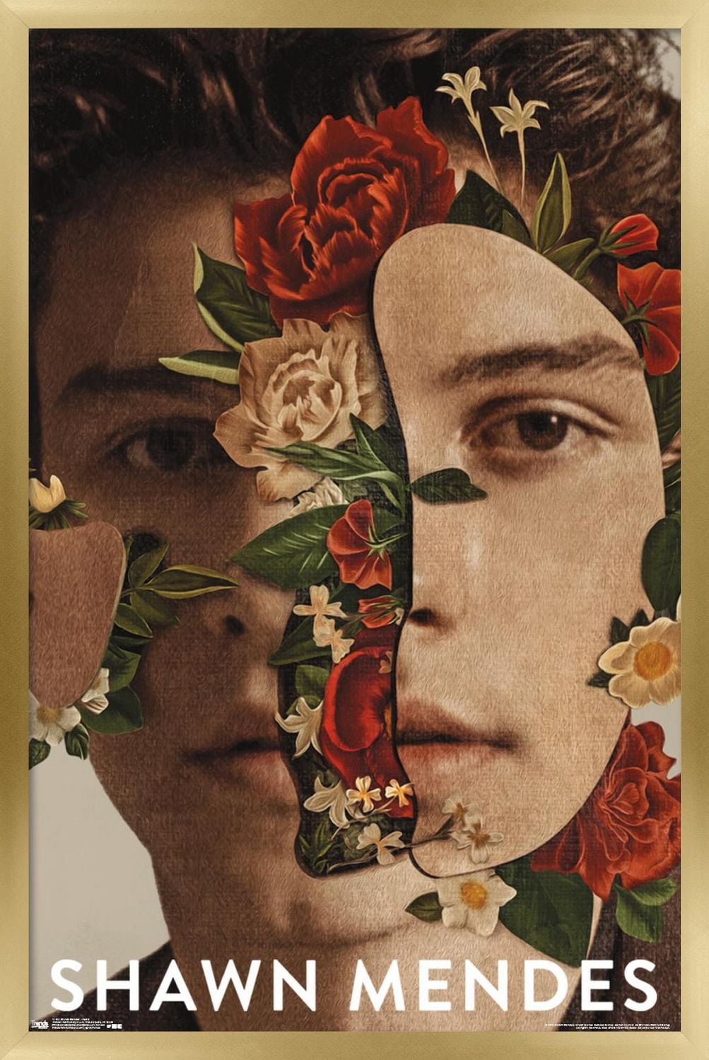 Shawn Mendes - Fleurs