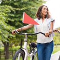 thumbnail image 5 of 2025 Latest Model Sets Kids Tricycle Reflective Bike Flag Bike Flag Mount Bike, 5 of 5