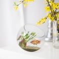 thumbnail image 1 of OUNONA Plastic Hydroponic Planter Fish Bowl Transparent Durable Design For Pet Owners 1Pack, 1 of 8
