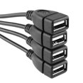 thumbnail image 2 of Hub USB flexible eForCity de 4 puertos USB 2.0 autoalimentado, 2 of 4