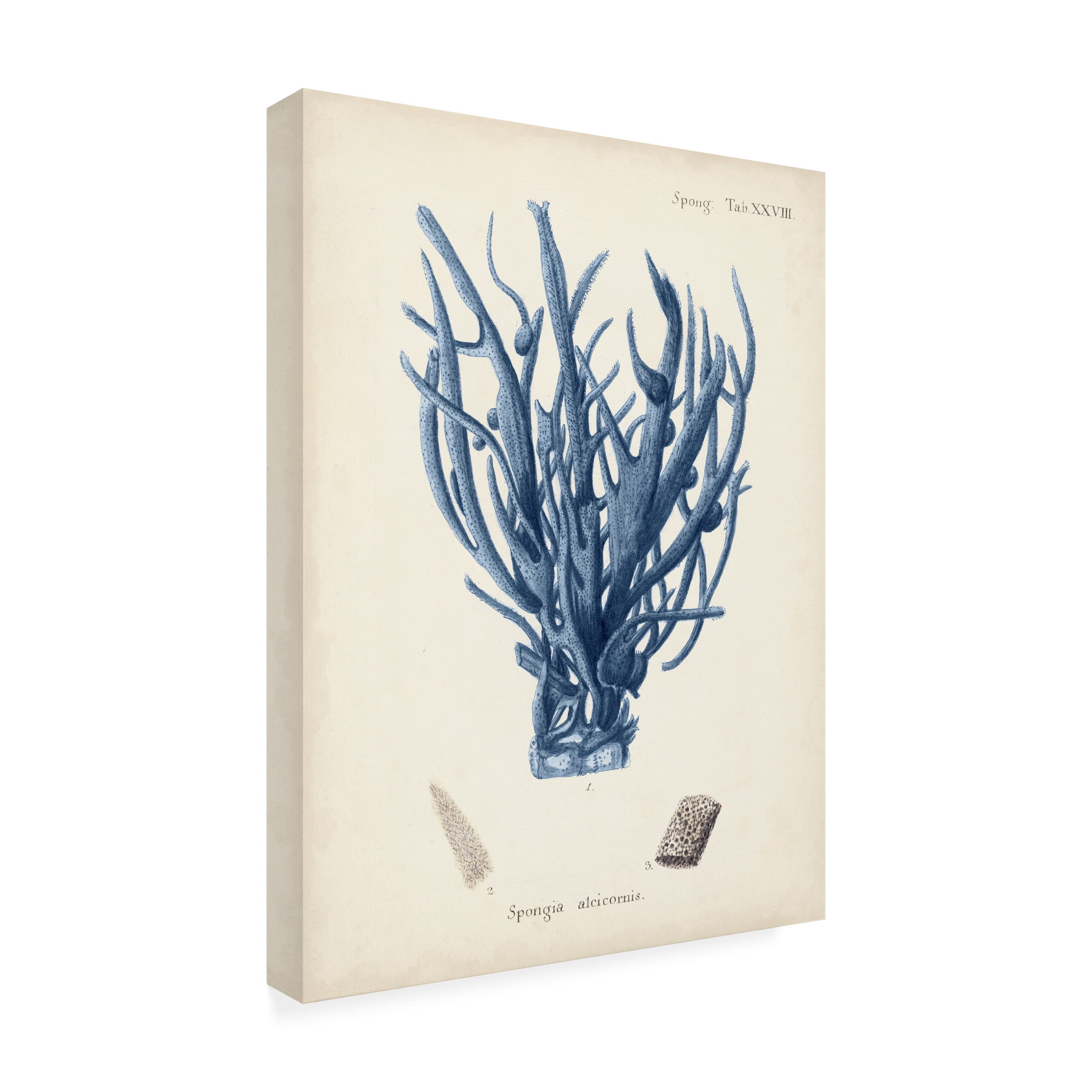 Johann Esper 'Antique Coral in Navy V' Canvas Art