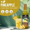 thumbnail image 2 of Syruvia Pineapple Syrup Pure Cane Coffee Flavoring Syrup, 25.4 fl Oz, 2 of 6