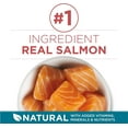 thumbnail image 3 of xianlin-Dry Cat Food, Salmon & Rice Formula - 7.2 kg Bag, 3 of 4
