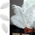 thumbnail image 6 of White Ostrich Feathers 15 Pieces White Feathers Ostrich Feathers for Crafts Wedding Party Centerpieces, Feather Accessories (20-25cm), 6 of 7