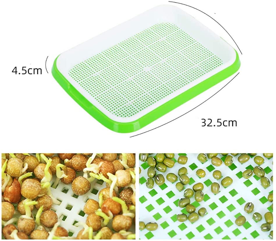 Sprouter Tray Grower Sprouters Garden Planting Grow Lid Sprouting Bean 