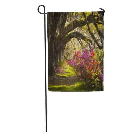 - KDAGR Charleston Sc Plantation Live Oak Trees Spanish Moss Azalea Flowers Garden Flag Decorative Flag House Banner 12x18 inch