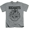 Harry Potter Hogwarts Athletic Little Boys Juvy Shirt