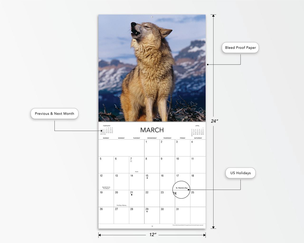 2023- 12 Month Calendar- Wolves 12x12 Hanging Wall Calendar by DaySpring