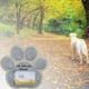 thumbnail image 4 of Lápida para Mascotas Colco Lápida Conmemorativa para Perros Decoración de Jardín, 4 of 8