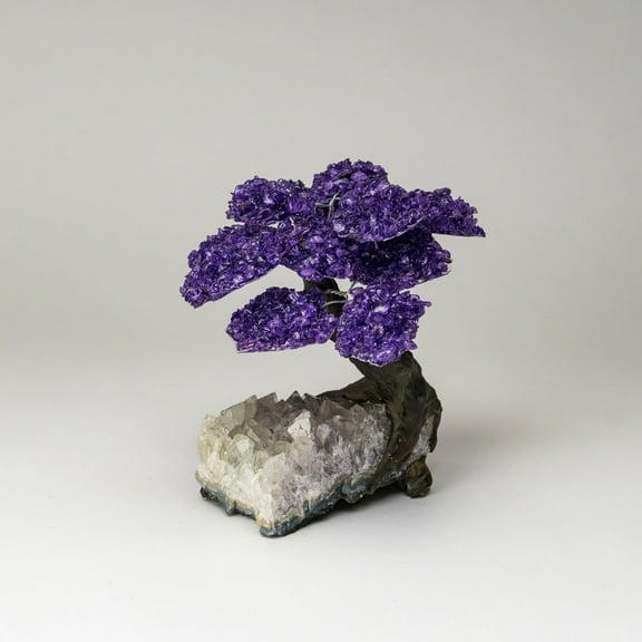 Genuine Amethyst Clustered Gemstone Tree on Clear Quartz Matrix (The Relaxation Tree) 7"