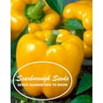 thumbnail image 2 of Scarborough Seeds 50 Yellow Golden California Wonder Bell Pepper Plant Seeds, 2 of 3