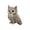 Owl, variant on Forest DIY Patchwork Kit, Forest Guardians Sewing Kit with Pre-Cut Fabric & Accessories, 12 Styles Doll Making Set, Handmade Decor Ornament Gift for Craft Lovers