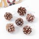 thumbnail image 3 of 6Pcs Christmas Artificial Pinecone Simplicity Natural Woodiness Pendant Room Decoration Autumn Thanksgiving Pine Tree Accessorie, 3 of 5