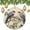 pattern-1393, variant on Christmas Tree Ornament Two Birds Sitting On A Purple Vine Xmas Tree Ornaments Fly Birds with Flowers Ornament Christmas Ornaments for Christmas Tree Decorations